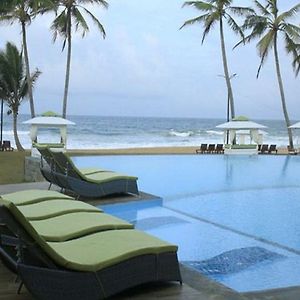 Avenra Beach Hikkaduwa